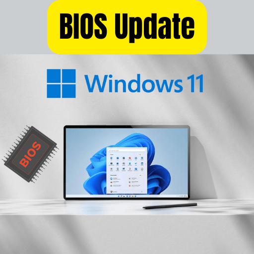 BIOS Update on Windows 11